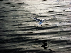refraction2