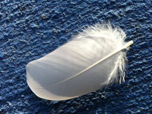 feather